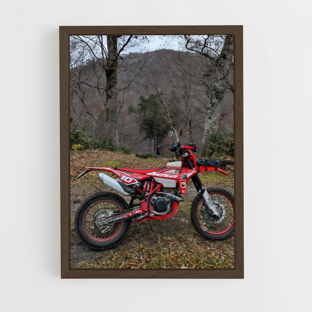 Poster Éblouissant RR-S – affiche Beta (vue 5)